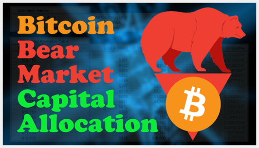 Read more about the article Bitcoin Bear Market Capital Allocation